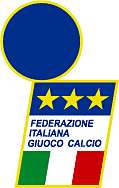 Federazione Italiana Giuoco Calcio